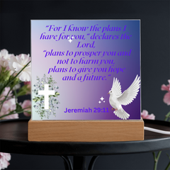 Divine Promise - Square Acrylic Plaque