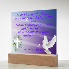 Divine Promise - Square Acrylic Plaque