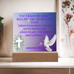 Divine Promise - Square Acrylic Plaque