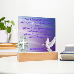 Divine Promise - Square Acrylic Plaque