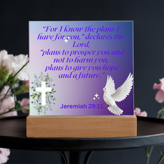 Divine Promise - Square Acrylic Plaque