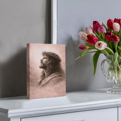 The Crown of Thorns - Wall Art on Canva (Dusty Rose)