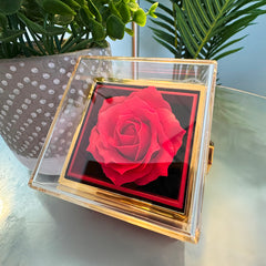 Family's Heart - Love Knot Necklace with Rotating Rose Gift Box (for Mom)